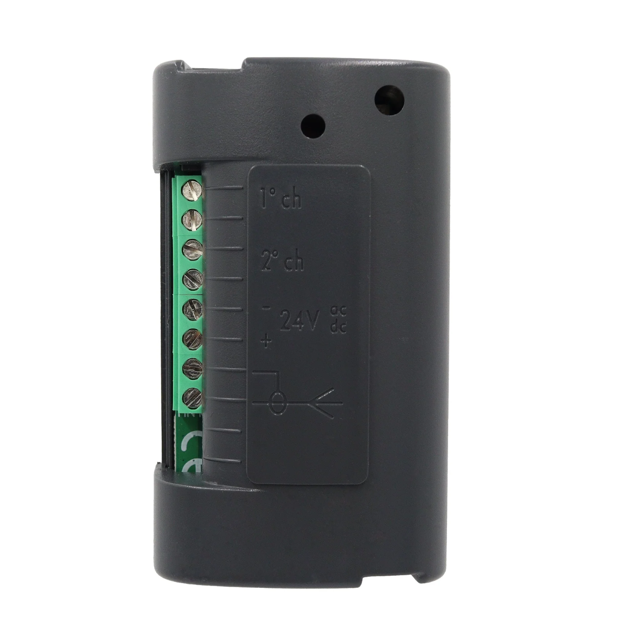 Beninca Remote Control Receiver